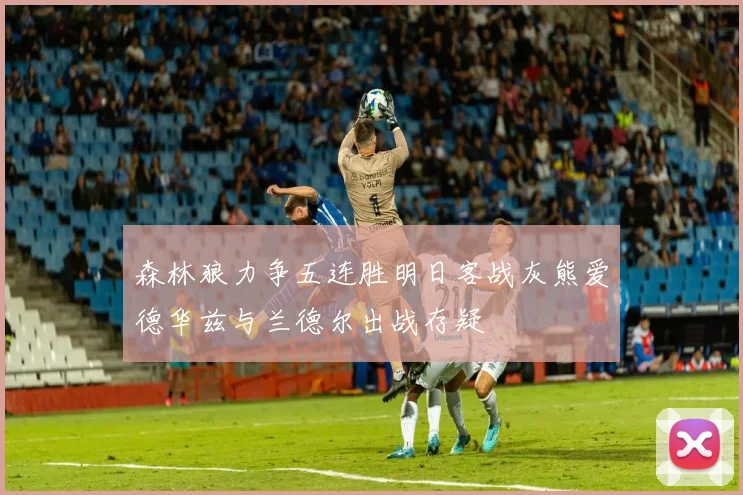 森林狼力争五连胜明日客战灰熊爱德华兹与兰德尔出战存疑